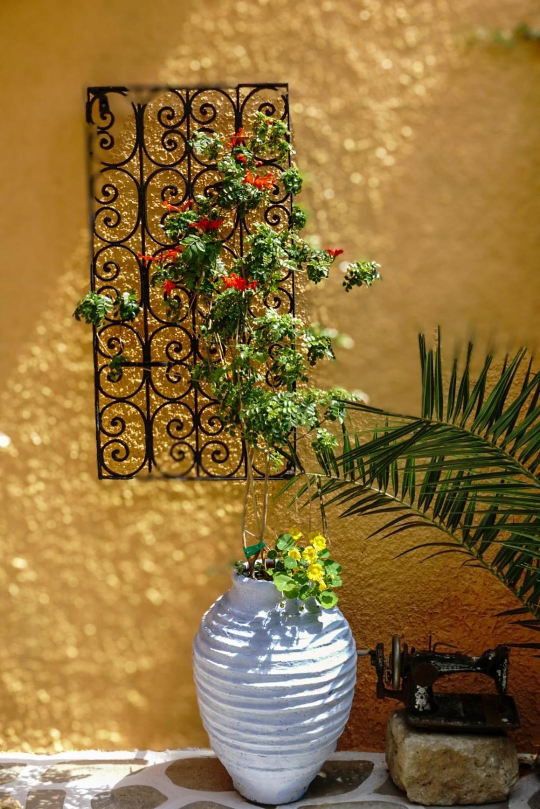 Vagia Traditional, Aegina Island ภายนอก รูปภาพ